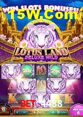 Experiência VIP Bet 4488